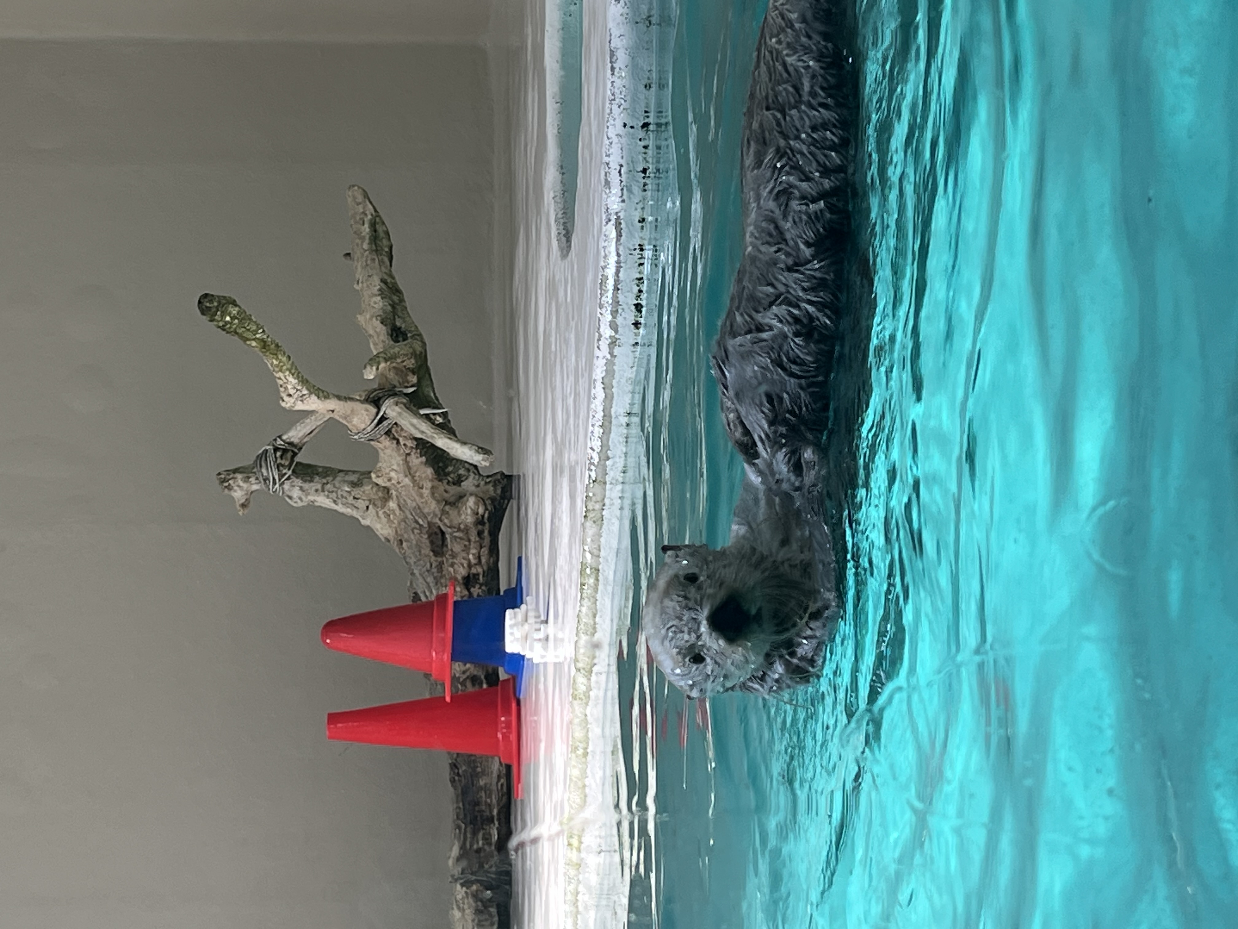 鳥羽水族館2